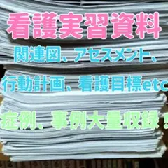 USB 看護学生 実習 関連図 看護計画 ヘンダーソン　アセスメント ゴードン