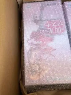 新品未開封 ソードアート・オンライン ≪閃光≫のアスナ 1/8フィギュア