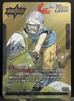 S*I様 メルカリ便　ブルマ　リーダー　パラレル　　パラレル　SB01-045