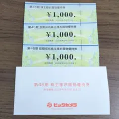 ビックカメラ 株主優待券