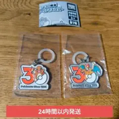 【24時間以内発送】ポケモン　メタルチャーム　ヒトカゲ　リザードン