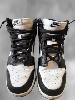 t*i様 【希少】Nike Dunk High ダンク パンダ　26㎝