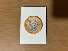 ダッフィーアンドフレンズ　20周年　ワッペン　クッキー・アン