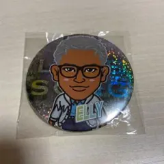 三代目JSB ELLY  LOVE SONG  レア75mmホロ缶バッチ