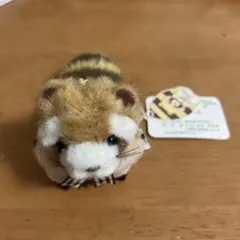 Item thumbnail for item 8b76a1b0-ca0b-48dc-b645-c1b1fa88f0bc