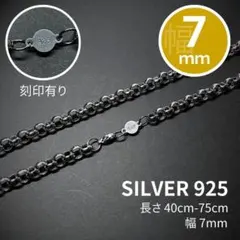 Item thumbnail for item 04512aeb-a166-4f01-8e8c-25ee4a2bb218