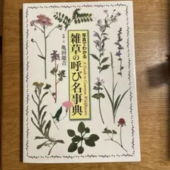 図録 シーボルト・コレクション日本植物図譜展 日本のボタニカル
