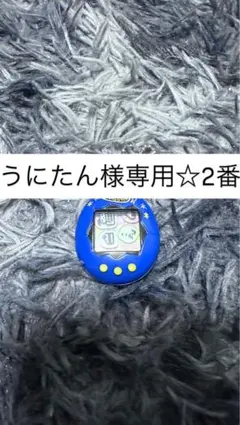 うにたん様専用☆2番