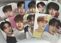 straykids スキズ チャンビン ナシフィック トレカ 15枚セット