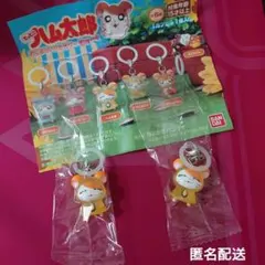 とっとこハム太郎　めじるしアクセサリーちゅー　ハム太郎　2個セット