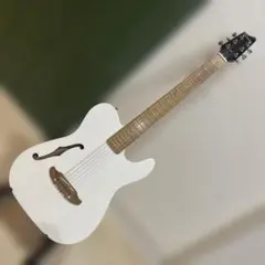 Schecter Oriental Line エレアコ エレキギター 美品のサムネイル