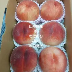 山形県産⑤桃わけあり2キロ