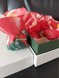 Item thumbnail for item 15873c0b-7308-4770-bd49-fe392d0bce87