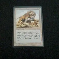 MTG サバンナ・ライオン 日本語 第4版 黒枠 旧枠 - メルカリ