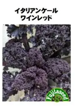 Kanako様 リクエスト 3点 まとめ商品