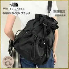 【韓国限定】 ノースフェイス ボニーパック M NN2PR61L ブラック