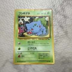 【キズあり】フシギダネ 旧裏 キズあり】フシギダネ 旧裏 - メルカリ