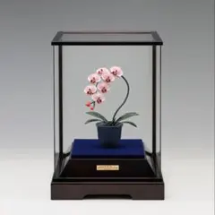 Item thumbnail for item e6ea0749-57c5-45d4-b742-f9cba2e484e7