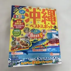 Item thumbnail for item 5155e49d-bef1-4c94-917a-faba3a7d5e66