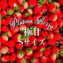 toさん専用 ちばちゃんの安心♡元気なタネと、果樹苗と、野菜たち