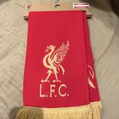 Item thumbnail for item d17eaa2c-fbbf-4b55-a19f-0e29ff494a78