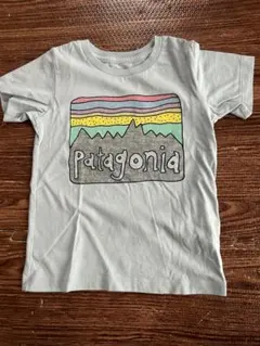 Patagonia オーガニックコットン Tシャツ 3T