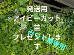 発送用300円のサムネイル