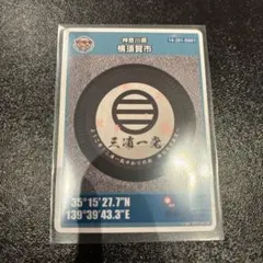 Item thumbnail for item 48d81079-0638-48fd-a4ab-bf21b7c7cfc6