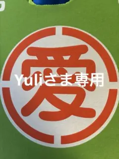★Yuliさま専用★