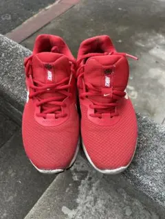 【NIKE】 トレーニングシューズのサムネイル