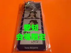 秋山由奈　AKB48 TOUR PARTY メッセージキーホルダー　愛知限定