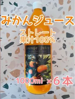 ジュース（みかん5本&伊予柑3本）＆愛果48号優品良品 M〜3Lサイズ箱込3kg ジュース（みかん5本&伊予柑3本）＆愛果48号優品良品 M〜3Lサイズ箱込