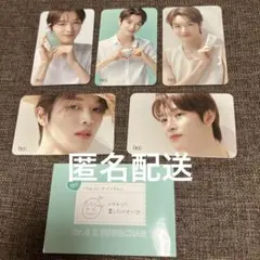 ソンチャン タレントカード