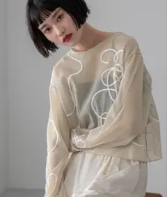 エンブロイダリープルオーバーＬＳ シアーカットソー 長袖 刺繍デザイン ベージュ