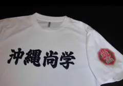 背番号付 東海大相模 甲子園用ユニフォーム 2010年 高校野球 渡辺勝 背番号付 東海大相模 甲子園用ユニフォーム 2010年 高校野球