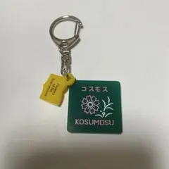コスモス アクリルキーホルダー Flowers of the