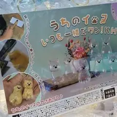 うちのイッヌいつも一緒だワン