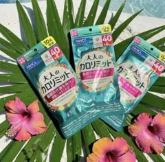 大人のカロリミット １０％増量 132回分 396粒（3袋）機能性表示食品、新品のサムネイル