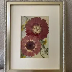 Item thumbnail for item 21e9dce2-15f9-46cb-83e9-aa0c9211c679