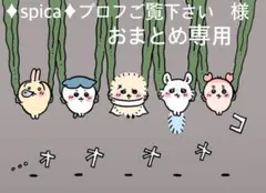 ♦spica♦プロフご覧下さい様　おまとめ専用