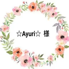 次回発送11/20以降☆Ayuri☆ 様