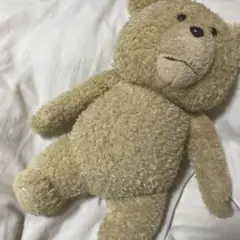 レア　TEDしゃべるぬいぐるみ 中古【TED】 手をにぎるとしゃべるぬいぐるみ 身長約40㎝ 動作