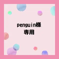 penguin様　専用　2足