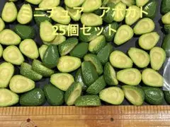 ミニチュア　アボカド　ハーフカット　かわいい　硬質樹脂　スイーツ　デコレーション