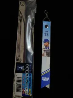 BAY BLUE FESTIVAL 2025/ブラインド本革製ボンフィン　#13