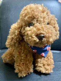 ドギョム DOA ぬいぐるみ アーティストメイド seventeen セブチ - メルカリ