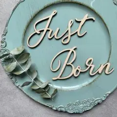 【SALE】木製 レターバナー Just Born / D type