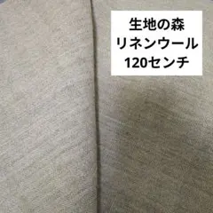 Item thumbnail for item 61d17f42-b0f6-4c4a-b142-78fd28c70f0b