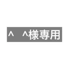 【新品未使用タグ付き】mystic ラップミニスカパン
