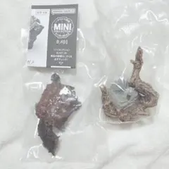 はしびろこう愛好家様 リクエスト 2点 まとめ商品